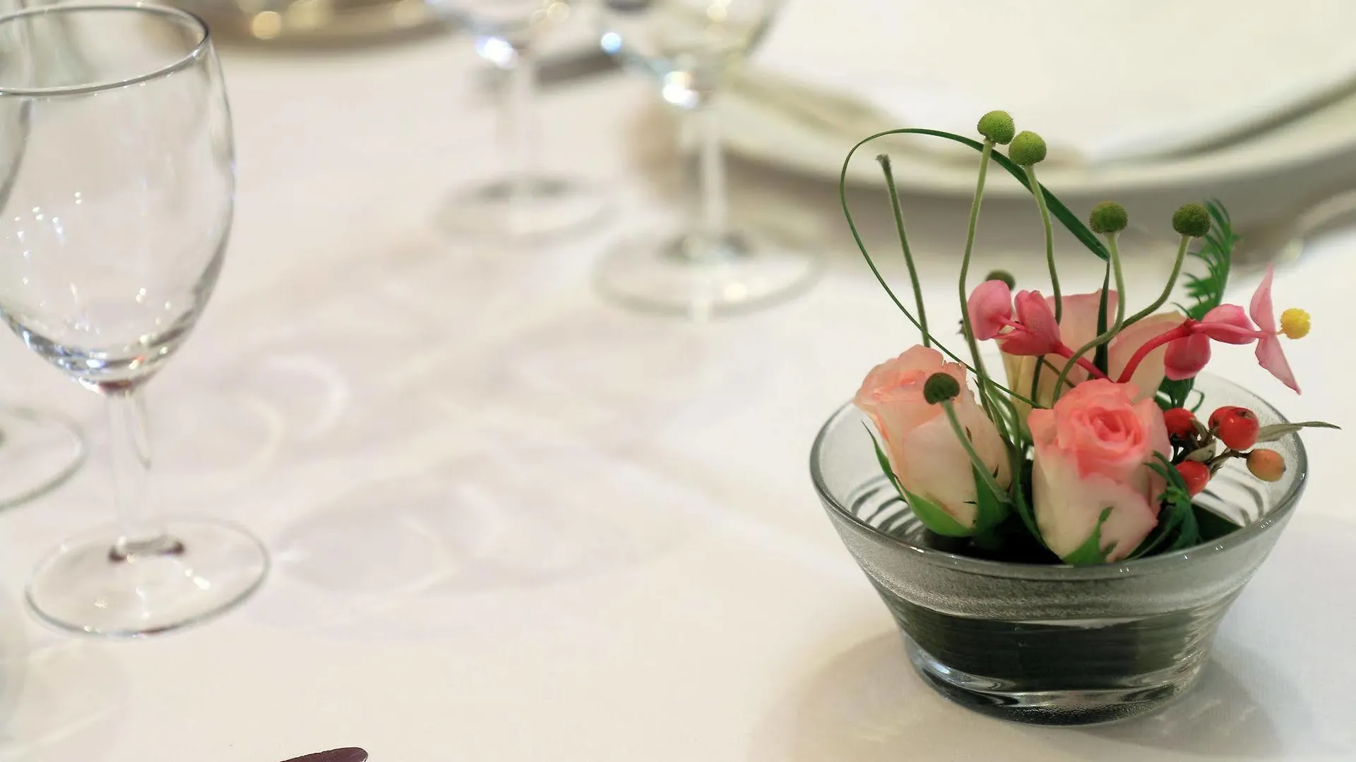Hotel-Restaurant Eychenne Saint-Girons  Saint-Girons (Ariege)